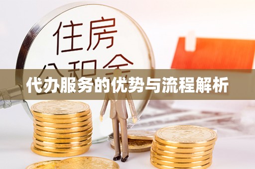 贞丰代办服务的优势与流程解析