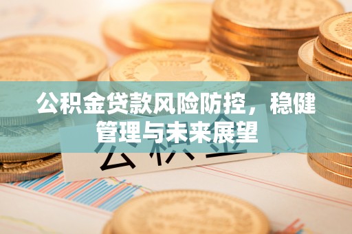 贞丰公积金贷款风险防控，稳健管理与未来展望