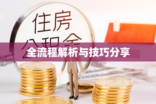 贞丰全流程解析与技巧分享
