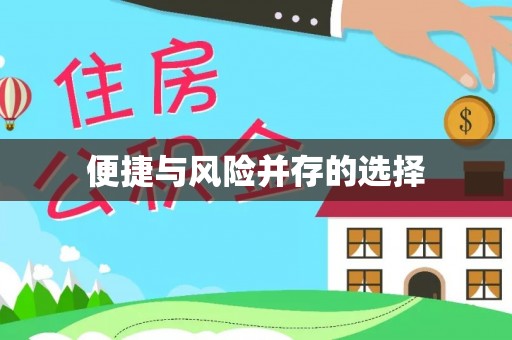 贞丰便捷与风险并存的选择
